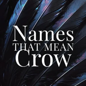 Names That Mean Crow